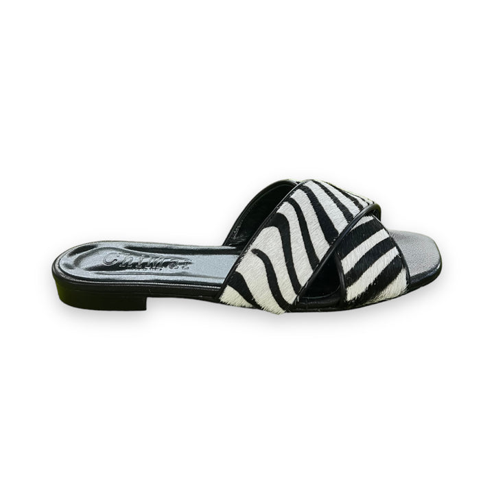 Angie Zebrino White/Black