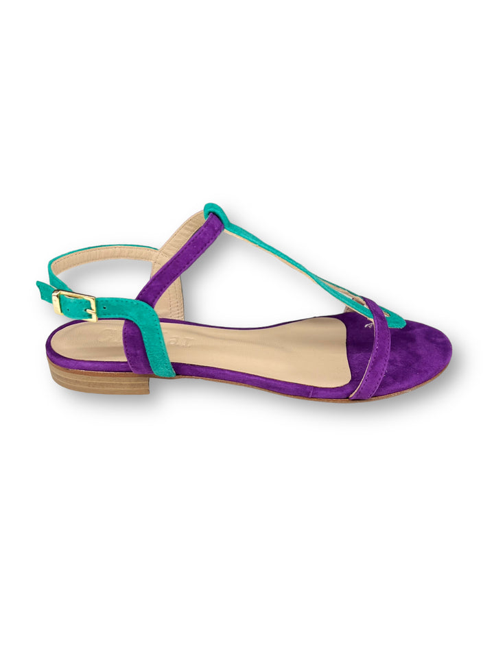 Bicolor Purple/Summer Green