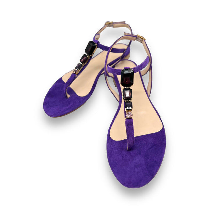 Crystal Viola/purple flip flops