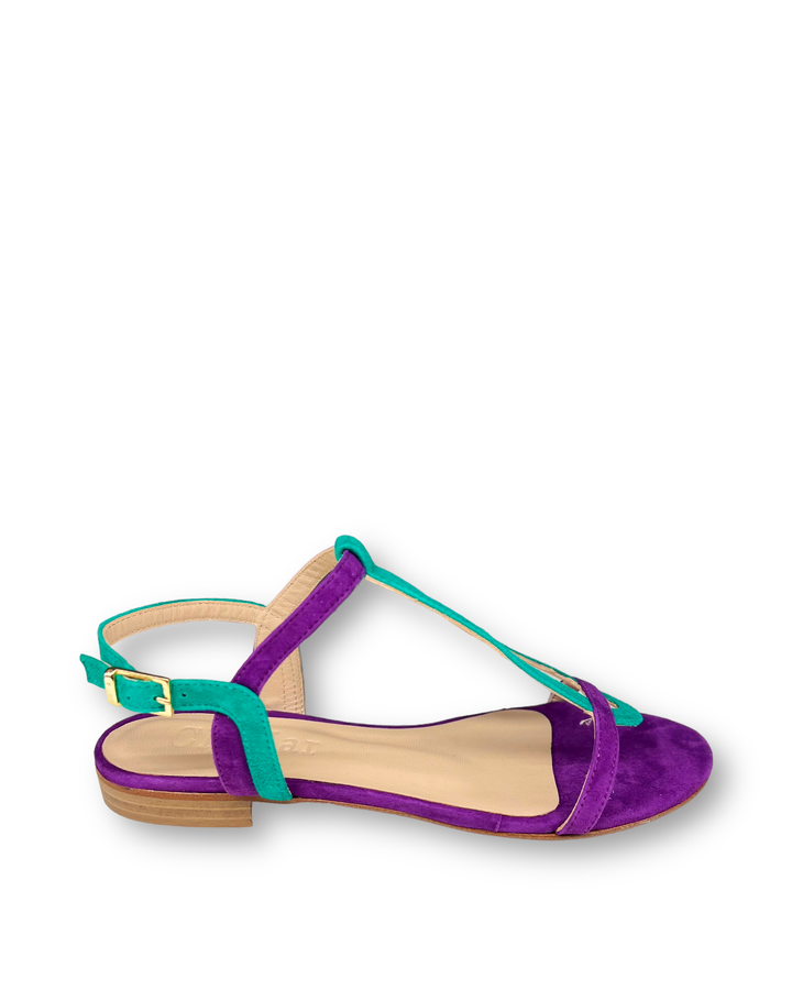 Bicolor Purple/Summer Green